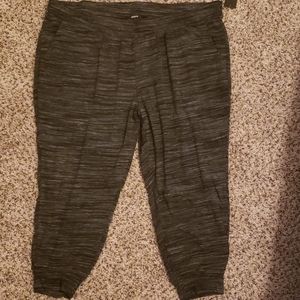 Torrid terry jogger